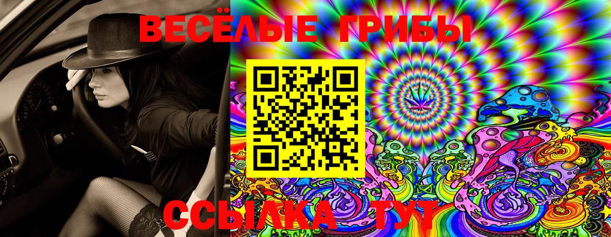 Галлюциногенные грибы Cubensis  Псилоцибиновые грибы MAGIC MUSHROOMS  Барабинск  Вход с VPN 